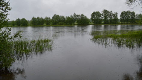 Власти потратят на проект экологической реабилитации реки Воронеж до 16,8 млн рублей