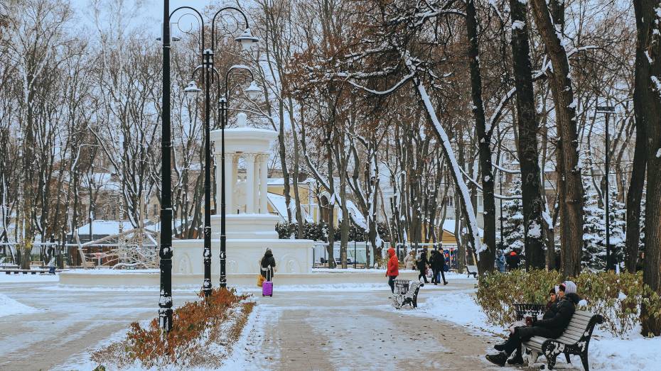 Главный метеоролог Воронежской области рассказал о погоде в декабре