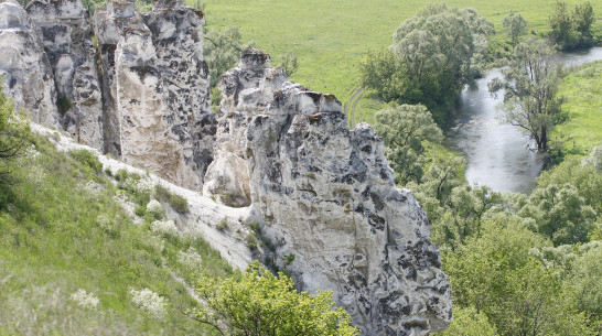 Воронежские бобры и орловские рысаки вошли в топ-1000 локальных культурных брендов России