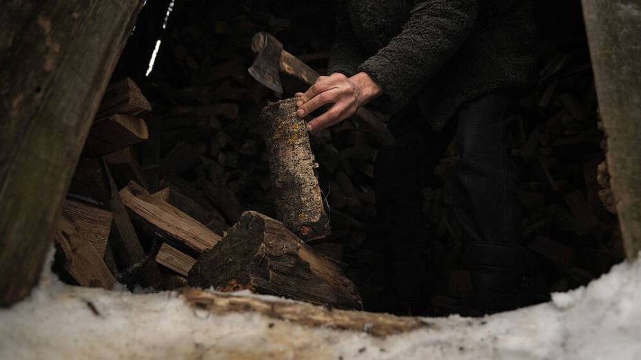 Житель Воронежской области нарубил дров на 870 тыс рублей