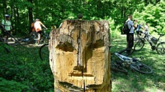 Автор Большой экотропы устроит воронежцам трехдневную презентацию маршрута