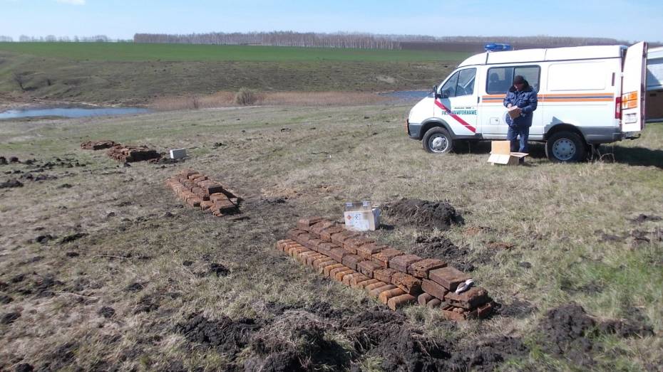 В Воронежской области взрывотехники уничтожили 114 боеприпасов