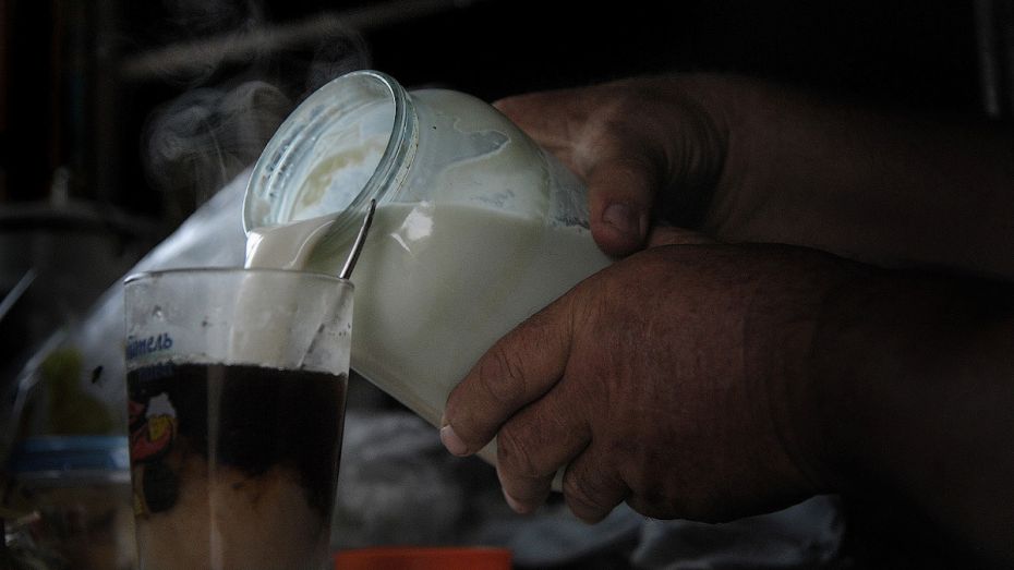 Воронежская область установила рекорд по производству молока