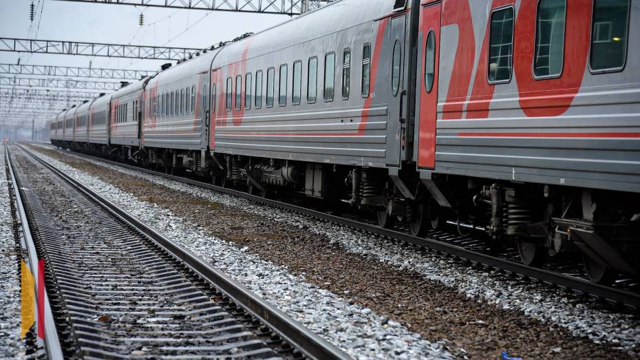 Из Воронежа могут запустить поезда в Санкт-Петербург и Минеральные Воды