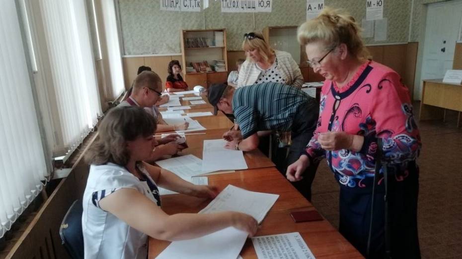 В Богучарском районе в 4 сельских поселениях выбрали депутатов 