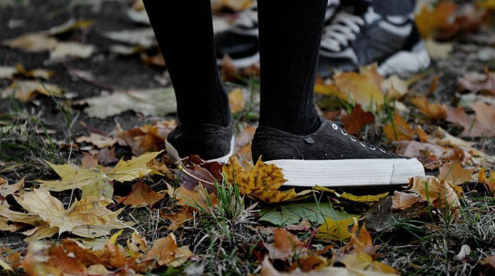 Воронеж вошел в топ-10 экономичных городов для семейного отдыха в России 