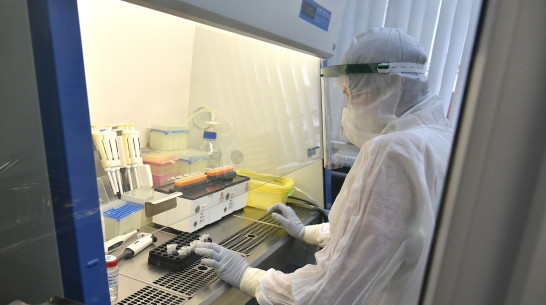 В Воронежской области за сутки выявили 51 новый случай COVID-19