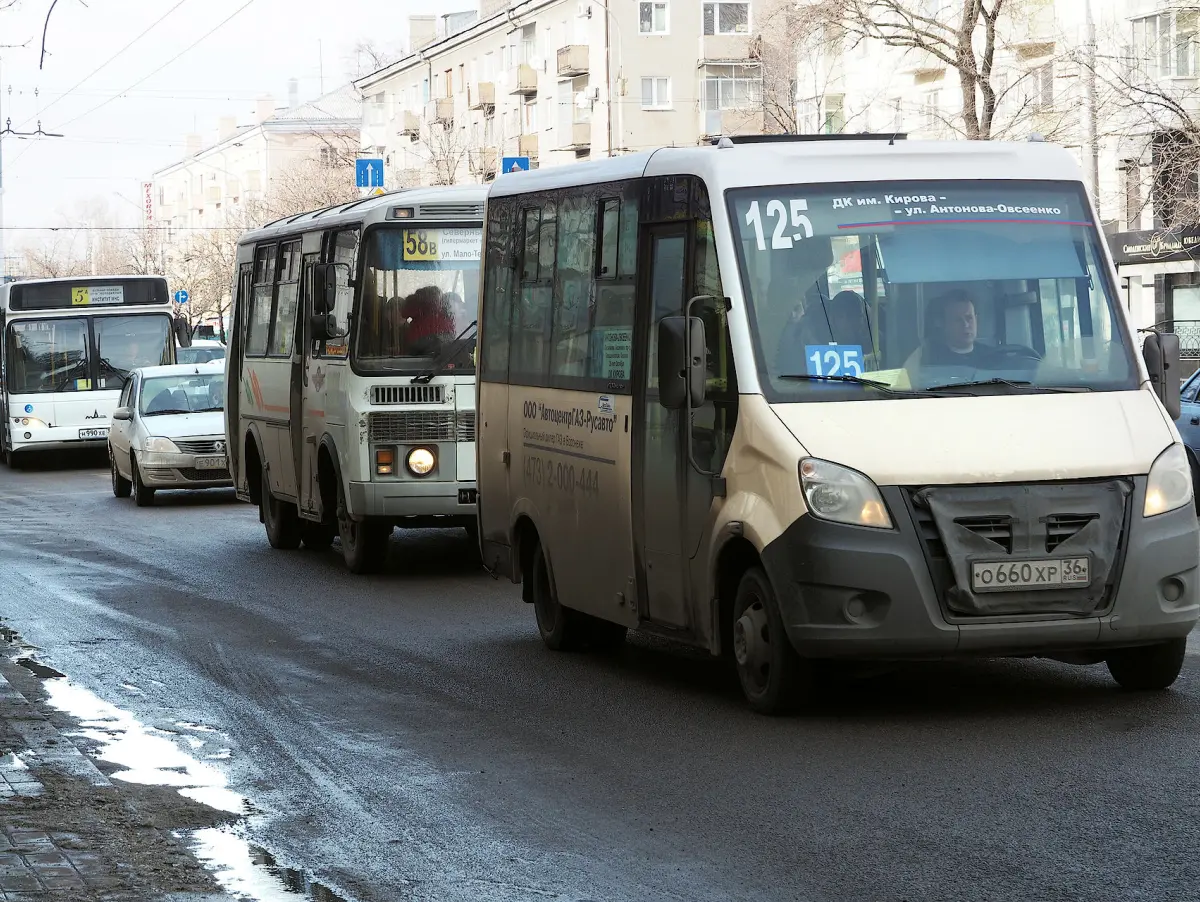 В Воронеже поменяют номера 13 автобусных маршрутов