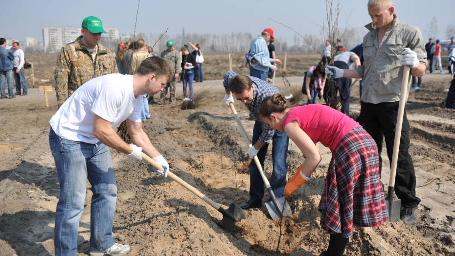 На общегородском субботнике в Воронеже посадили 18 гектаров леса