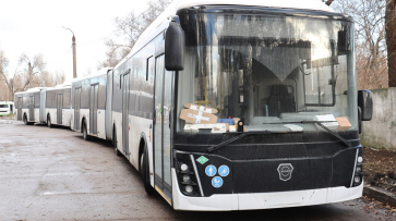 В Воронеж прибыли первые автобусы-гармошки