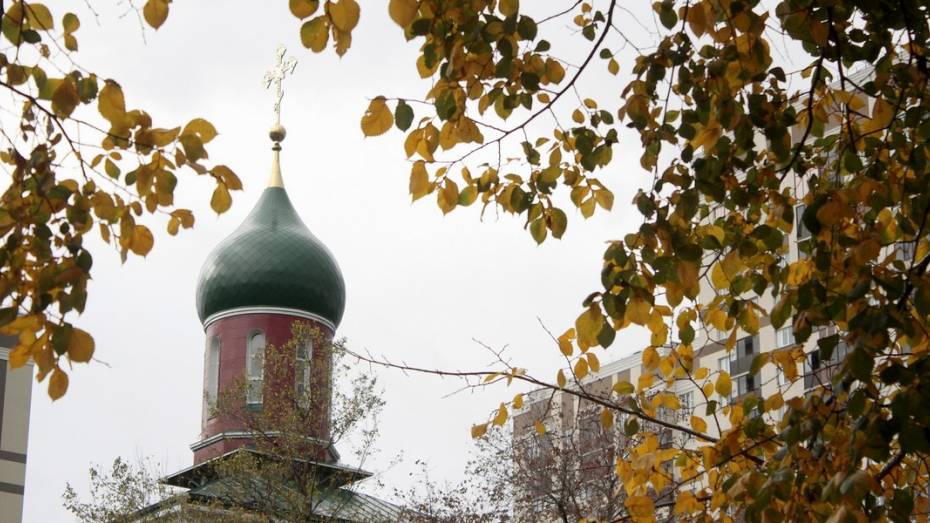 В выходные температура в Воронеже может опуститься до нуля