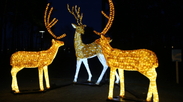 В воронежском парке «Алые паруса» установили светящиеся фигуры