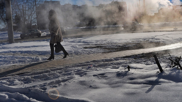 В Воронежской области 30 человек получили обморожения за неделю