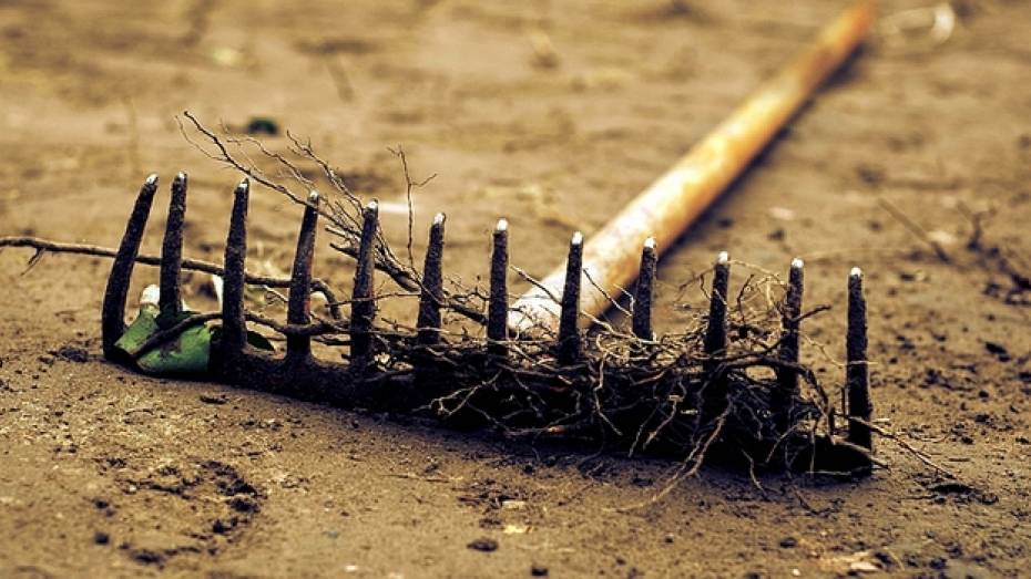 Жителя Лисок привлекли в уголовной ответственности за угрозу убить соседа