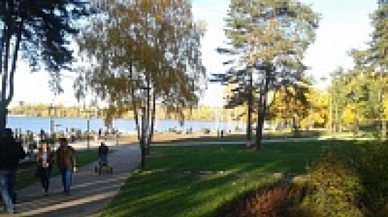 В Воронеже на День города будет ясная погода