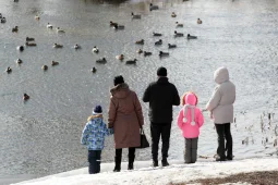 Единое семейное пособие получили родители почти 37 тыс детей в Воронежской области