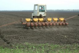 Поле в полис: защитит ли страховка воронежских аграриев от климатических «сюрпризов»