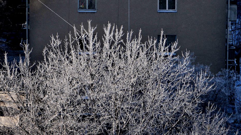 Температура в выходные в Воронеже снизится до -11 градусов