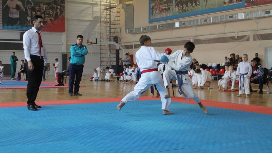 В Хохольском районе открытый турнир по карате пройдет 7 апреля