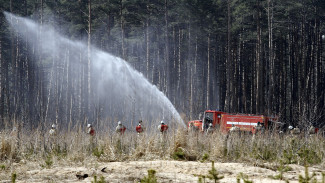 В Воронежской области выросло число районов с высоким уровнем пожароопасности