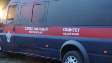 Воронежский СК проверит сообщения о высаженной из автобуса на мороз школьнице