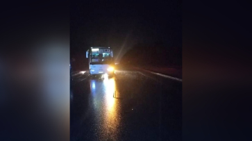 Рейсовый автобус насмерть сбил 50-летнего пешехода в Воронежской области