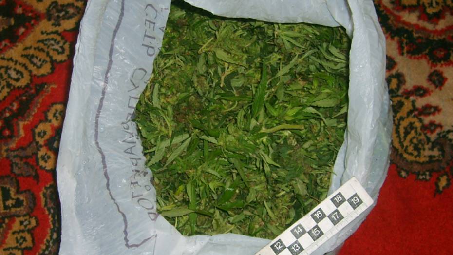 Наркополиция поймала жителя Верхнемамонского района с 5 кг марихуаны