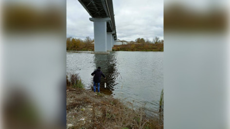 В региональном минприроды прокомментировали загрязнение Дона соляркой под Воронежем