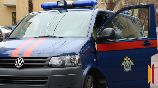 Александр Бастрыкин потребовал доклад о проверке «рабской» фермы в воронежском селе