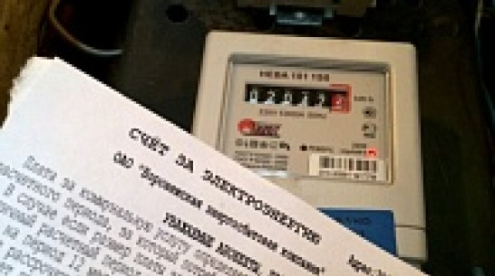 В дачном поселке в Воронеже 20 семей остались без света из-за долгов