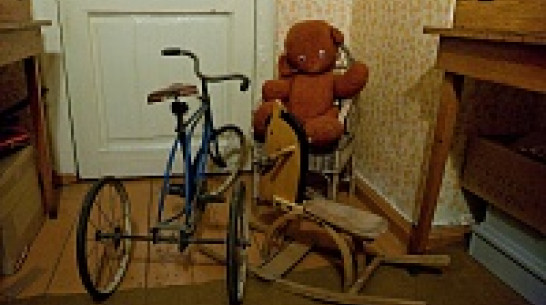 В проекте «Античудеса Воронежской области» выбирают лучший антимузей