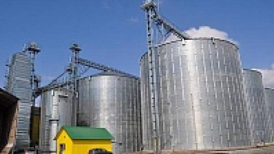 Black Earth Farming Ltd продала 27,7 тысяч гектаров земли в Воронежской области за 21,1 млн долларов 