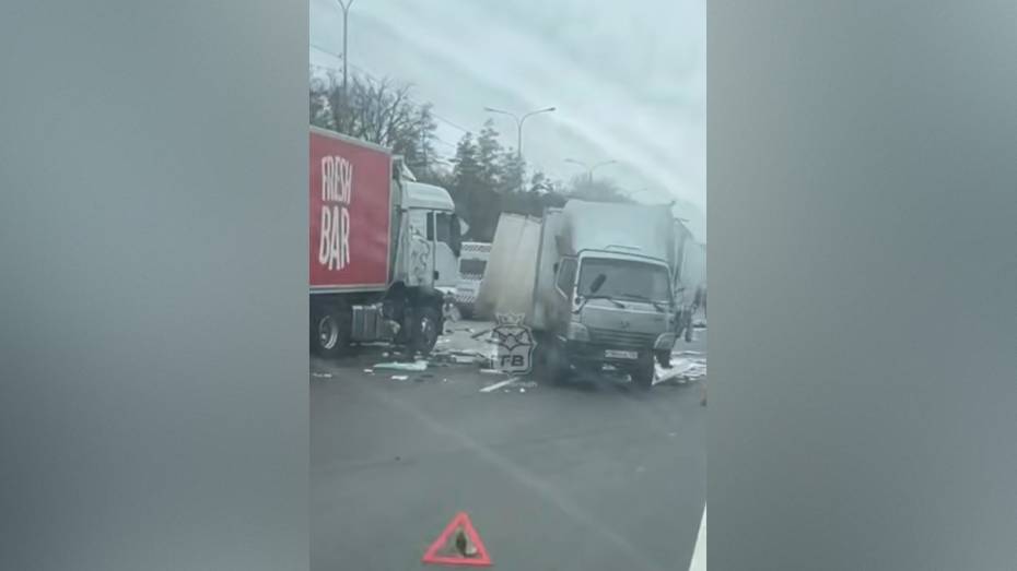 Из-за аварии с грузовиками на трассе М-4 «Дон» в Воронежской области образовалась огромная пробка