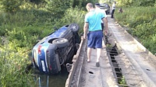 В Павловске Nissan Qashqai упал с моста в воду
