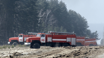 Максимальный уровень пожарной опасности установлен в 12 районах Воронежской области