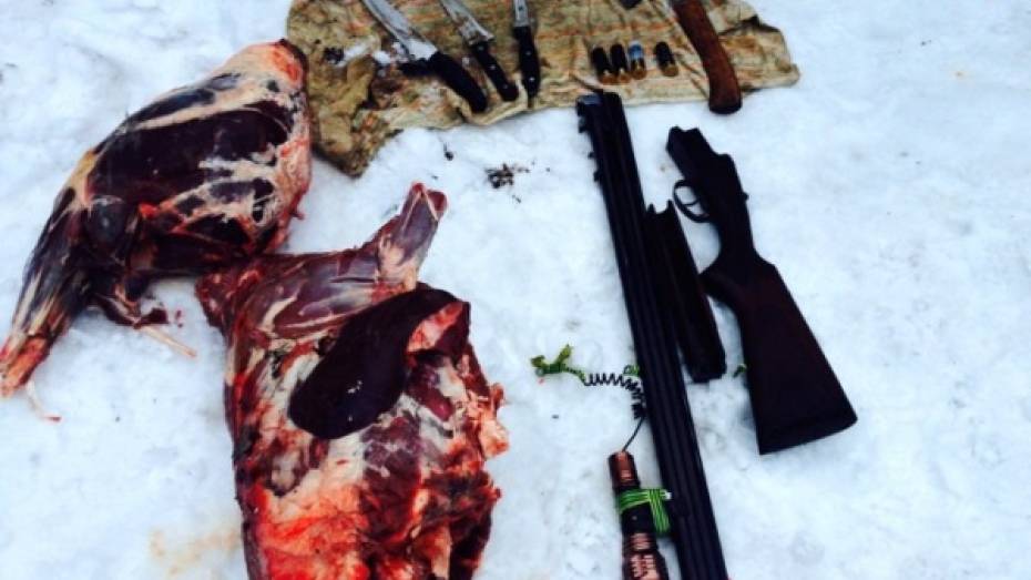 В Воронежской области браконьер заплатит 100 тыс рублей за убитую косулю 