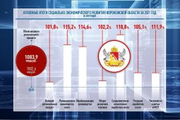 Статистики подтвердили рост экономики Воронежской области