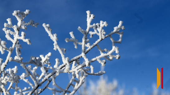 В Воронеж в конце недели придет мороз -8 градусов