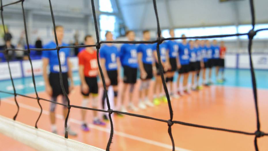 Воронежские волейболисты выиграли второй матч у «Ростова-Волей»