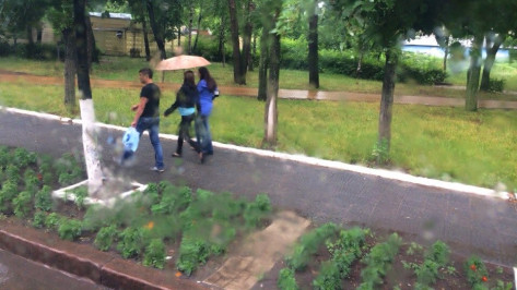 Дожди с грозами накроют Воронеж в субботу