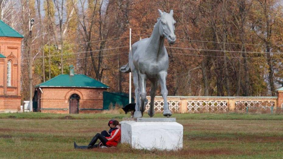 На установку памятника коню в Воронежской области выделят более 20 млн рублей