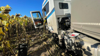 В столкновении четырех легковушек и грузовика под Воронежем погибли 2 человека