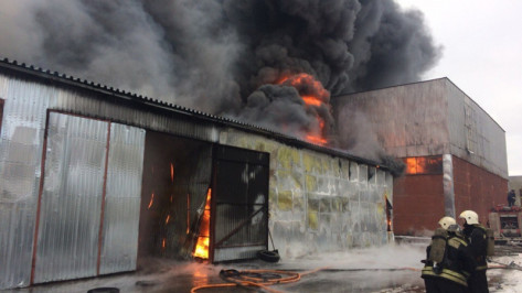 Полиция разберется в причинах пожара на складе в Советском районе Воронежа
