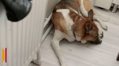 Воронежцам рассказали, как будет начисляться плата на отопление после его возвращения