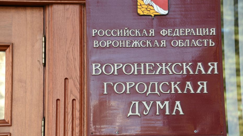 Воронежские депутаты скорректировали бюджет города на 3,2 млрд рублей
