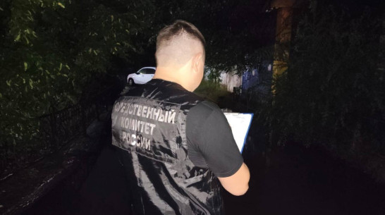 Кровавая расправа в Россоши Воронежской области попала на видео