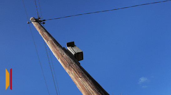 В Воронежской области от растительности расчистят трассы линий электропередачи за 110,7 млн рублей