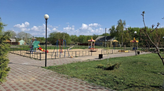 Детскую игровую площадку обновят в лискинском селе Колыбелка