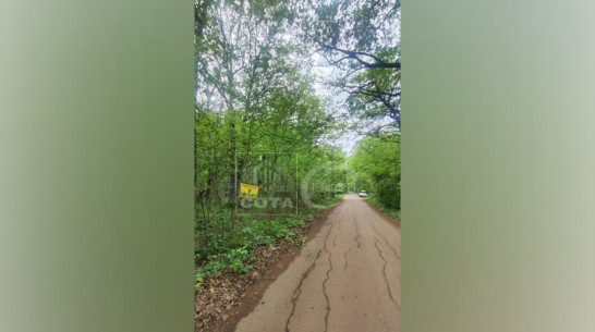 Под Воронежем часть природного заказника выставили на продажу за 150 млн рублей