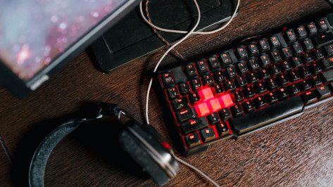 Воронежские полицейские поймали компьютерного пирата